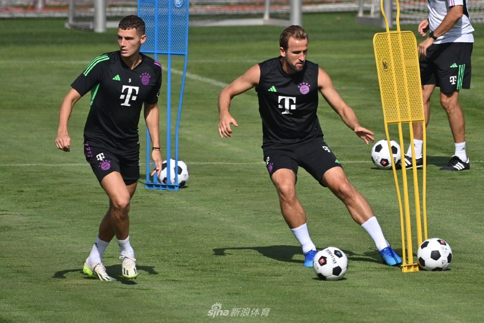 都是选手智 都是选手智